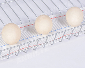 https://www.annilte.net/annilte-4-inch-pp-woven-egg-conveyor-belt-polypropylene-belt-for-chicken-farm-cages-product/